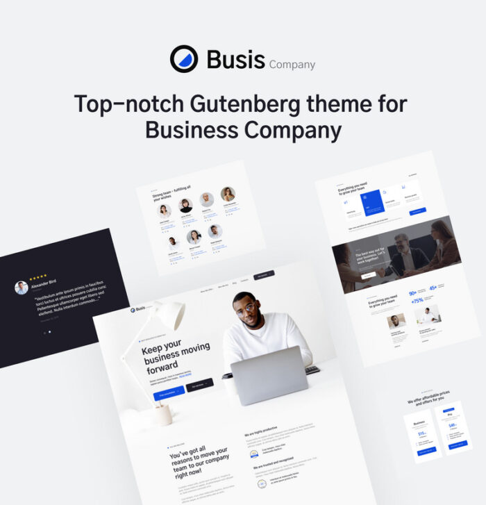 Busis Company - Business Gutenberg Theme - Features Image 1