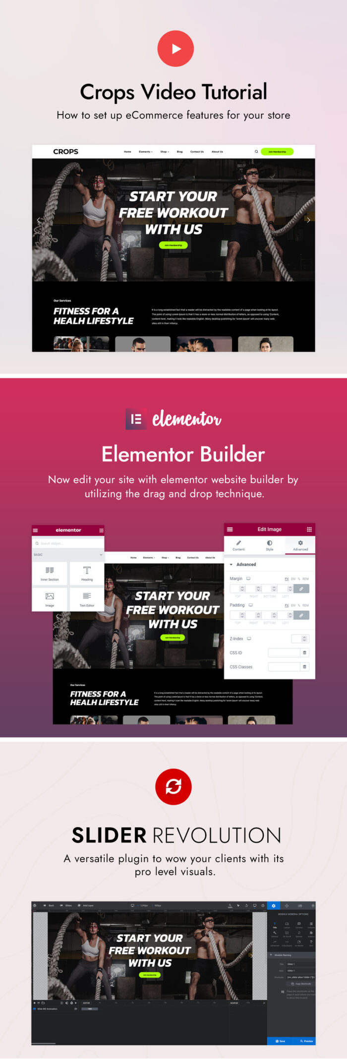 Crops - Fitness and Gym WordPress Theme - Features Image 3