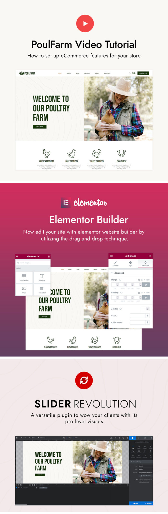 Poulfarm - Poultry Farm and Agriculture WordPress Themes - Features Image 3