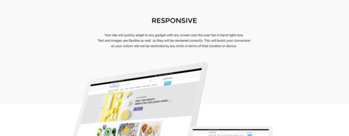 Health Is Wealth - Responsive OpenCart Template - Features Image 1