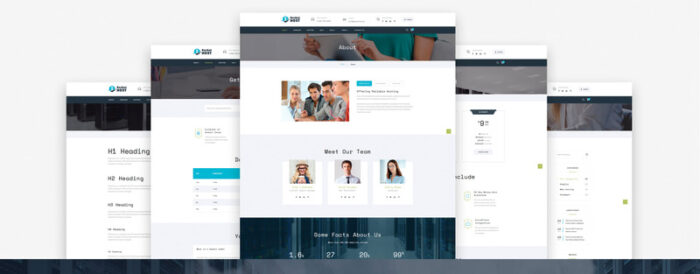 Rocket Host - Domain And Hosting Multipage HTML5 Website Template - Features Image 4