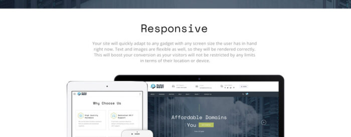 Rocket Host - Domain And Hosting Multipage HTML5 Website Template - Features Image 6