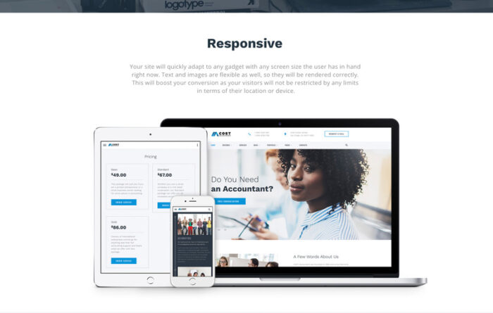 Cost - Accountant Multipage HTML5 Website Template - Features Image 6