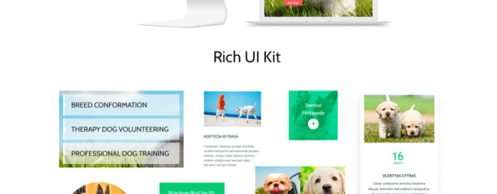 Dog Club - Dog Breeder Compatible with Novi Builder Landing Page Template - Features Image 3