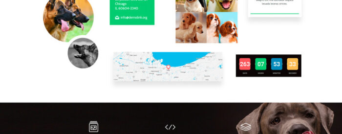 Dog Club - Dog Breeder Compatible with Novi Builder Landing Page Template - Features Image 4