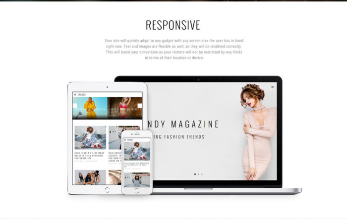 Trendy - Fashion Magazine Multipage HTML5 Website Template - Features Image 7