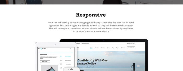 Shelter - Insurance Agency Multipage HTML5 Website Template - Features Image 6