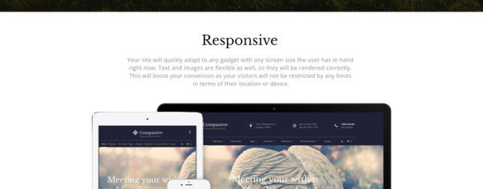 Compassive - Cemetery & Funeral Services HTML5 Website Template - Features Image 6