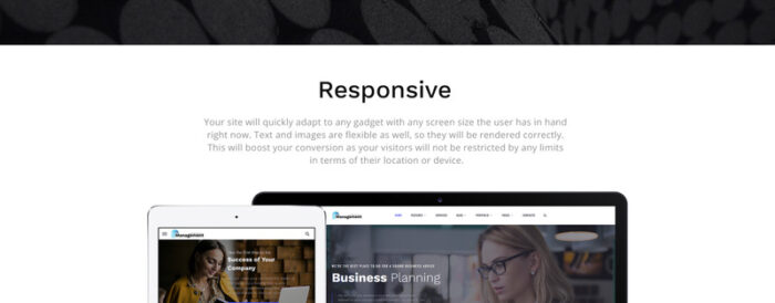 Management Company - Elegant Business Consulting Company Website Template - Features Image 6