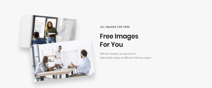 Softlabs - Software Company Creative HTML Bootstrap Landing Page Template - Features Image 4