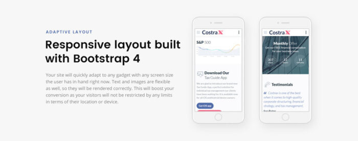 Costrax - Accounting Services Modern Multipage HTML5 Website Template - Features Image 5