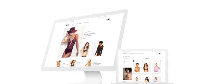 BLS - Lingerie E-commerce Clean Shopify Theme - Features Image 1