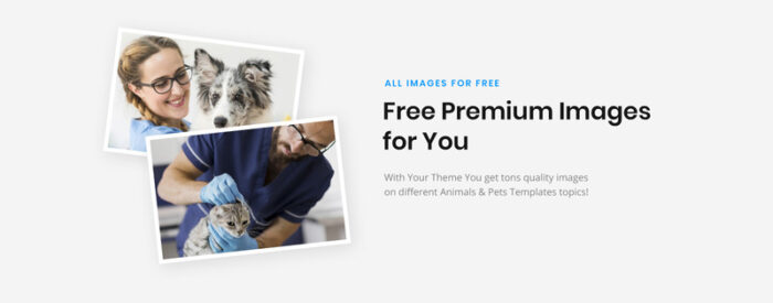 FluffyLook - Pet Grooming Salon Website Template - Features Image 4