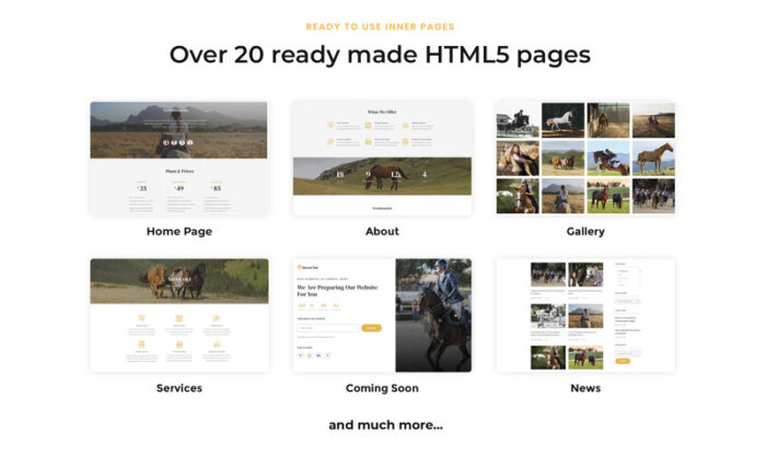 HorseClub - Elegant Animals Multipage HTML Website Template - Features Image 3