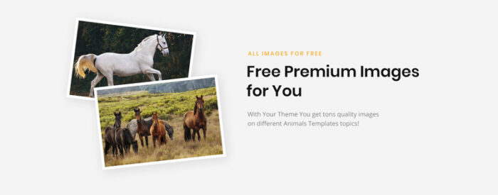 HorseClub - Elegant Animals Multipage HTML Website Template - Features Image 4