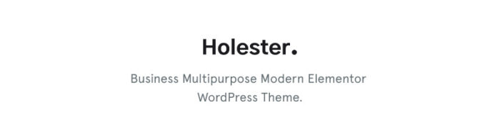 Holester - Business Services Website Template WordPress Theme - Features Image 1