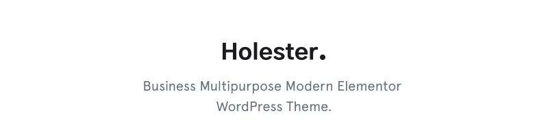 Holester - Business Services Website Template WordPress Theme - Features Image 1