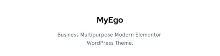 MyEgo - Business Website WordPress Theme - Features Image 1