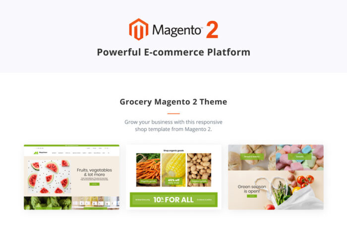 Magetique Grocery Online Template Magento Theme - Features Image 2