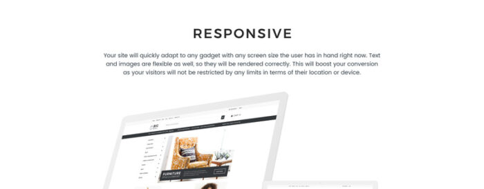 Big Bag - Wholesale Store Shopify Theme - Features Image 1