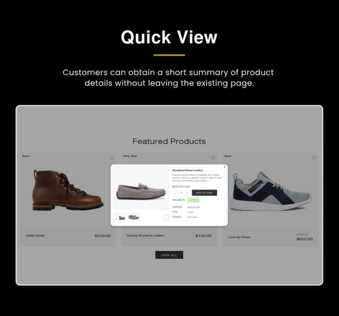 Keni Mega Shoes Responsive Shopify 2.0 Theme - Features Image 10