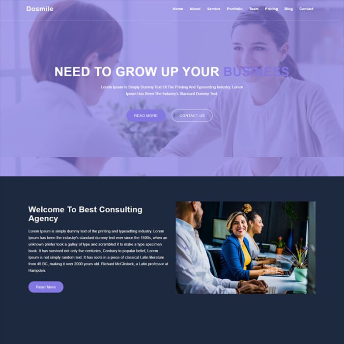 Dosmile Digital Marketing Agency Landing Page Template - Features Image 1