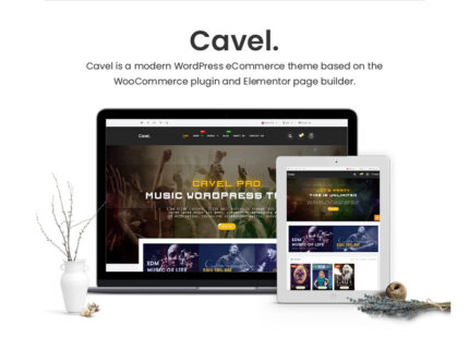 Cavel - Theme for Books, CD & DVD Store WooCommerce Theme - Features Image 1