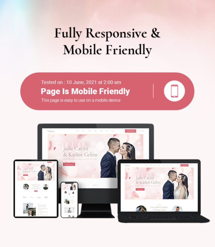 Vibeson - Elegant Wedding Planner Event Photography HTML Template - Features Image 4