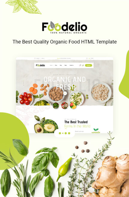 Foodelio - Organic Grocery Nutrition Bio Food Store Shop RTL Responsive HTML Template - Features Image 1