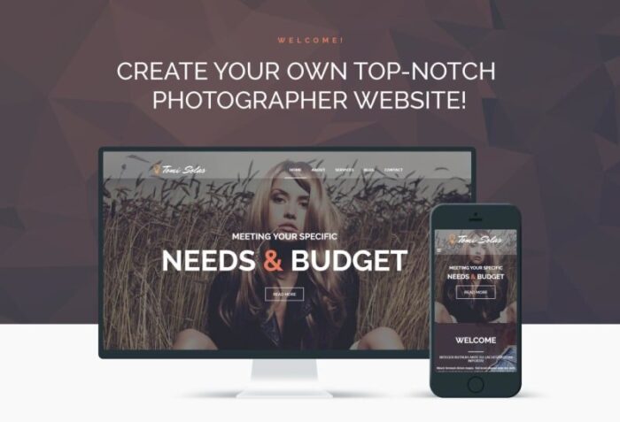 Tomi Solas WordPress Theme - Features Image 1