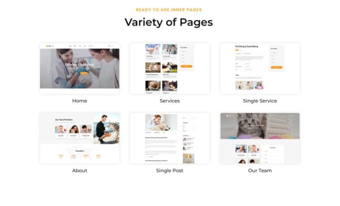 Pet Care - Vet Pet Care Clean HTML Website Template - Features Image 3