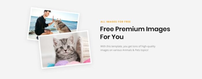 Pet Care - Vet Pet Care Clean HTML Website Template - Features Image 4