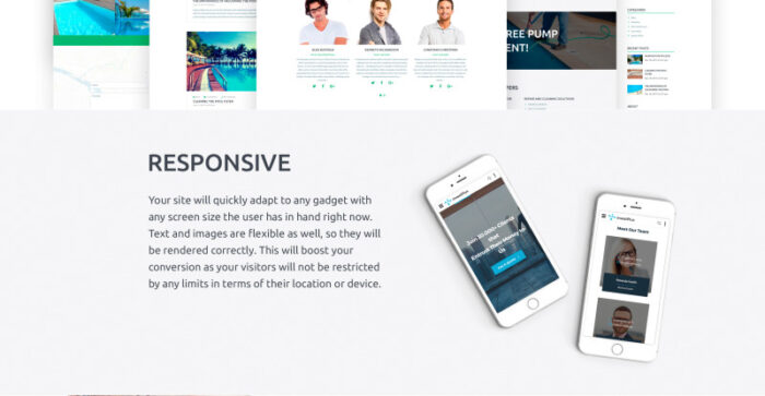 Pool Company Bootstrap Theme Website Template - Features Image 6