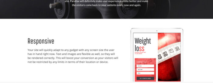 Weight Loss - Simple Weight Loss Program Compatible with Novi Builder Landing Page Template - Features Image 6