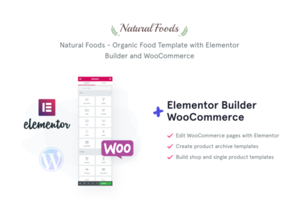 Natural Foods - Organic Food Template for Online Stores WooCommerce Theme - Features Image 1