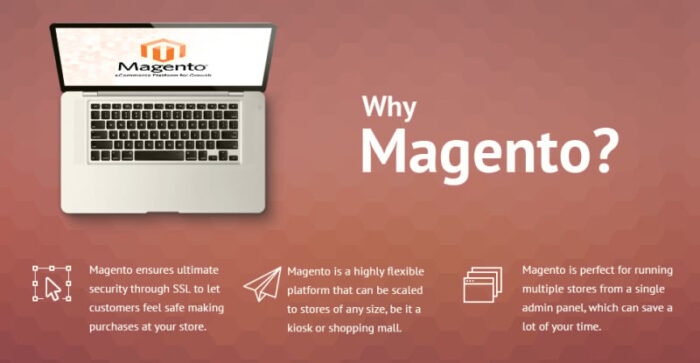 Wine Store Magento Theme - Features Image 1