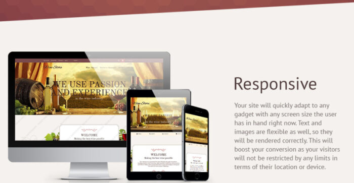 Wine Store Magento Theme - Features Image 2