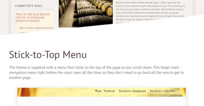 Wine Store Magento Theme - Features Image 11