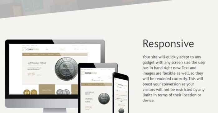 Coin Store PrestaShop Theme - Features Image 3