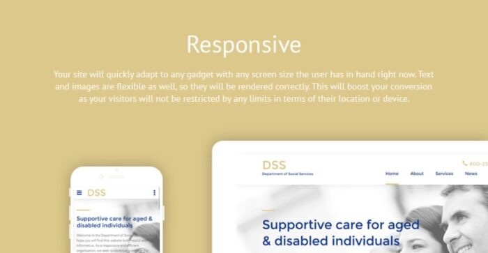 Social Foundation Responsive Website Template - Features Image 1