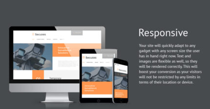 Secuxes Website Template - Features Image 1