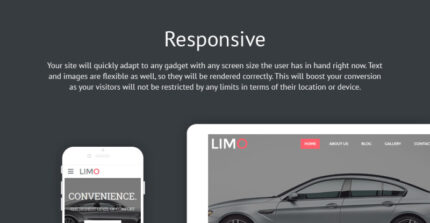 Limo - Transportation & Transfer Services Website Template - Features Image 1