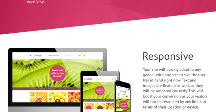 Fruit Gifts OpenCart Template - Features Image 2