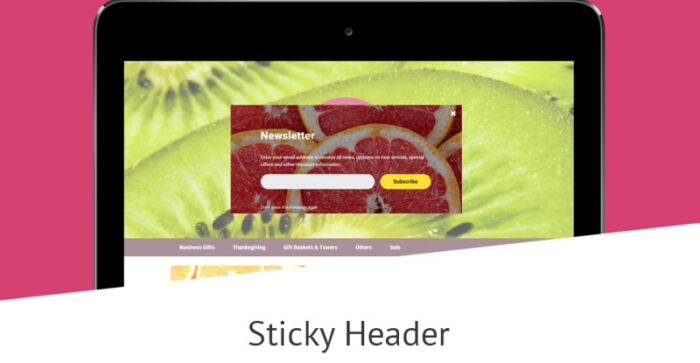 Fruit Gifts OpenCart Template - Features Image 8