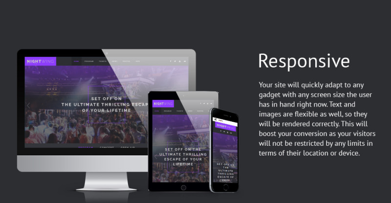 Night Club Responsive Website Template - Features Image 1