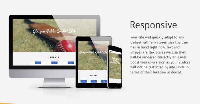 Cricket Club Joomla Template - Features Image 1