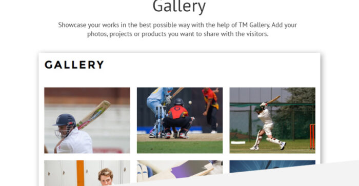 Cricket Club Joomla Template - Features Image 8