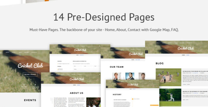 Cricket Club Joomla Template - Features Image 9