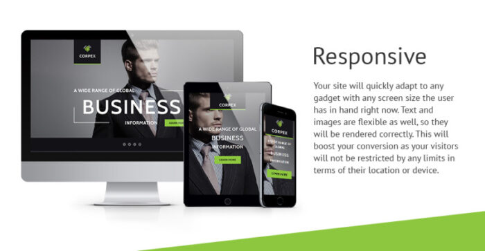 Business & Services Responsive Landing Page Template - Features Image 1