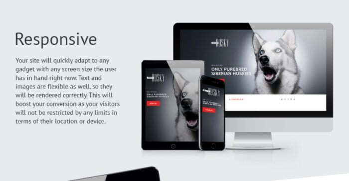 Canine Landing Page Template - Features Image 1